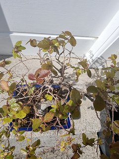 WhatsApp Image 2022-06-03 at 6.34.06 PM