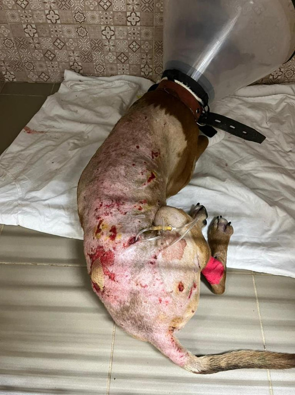 8DB49613-81A4-448E-A644-A90353E7B459