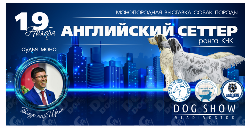 Зоопортал выставки собак 2025 октябрь. Монопородная выставка салюки 2025. zooportal.pro выставка собак. зоопортал пермь выставка собак. монопородные выставки уиппет 2025.