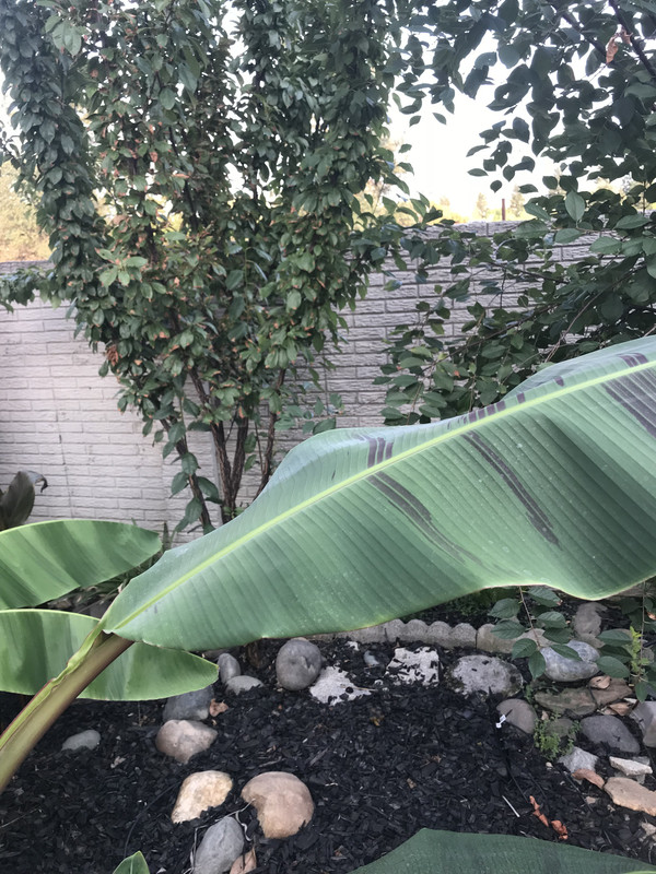 1889DF9C-7B51-4B03-8B1D-35240DDE3051