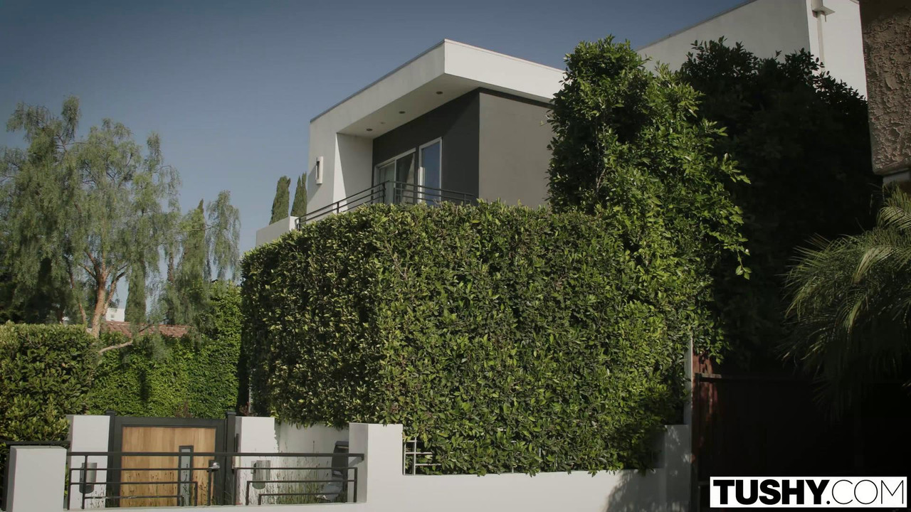 vlcsnap-2023-04-08-17h17m41s541