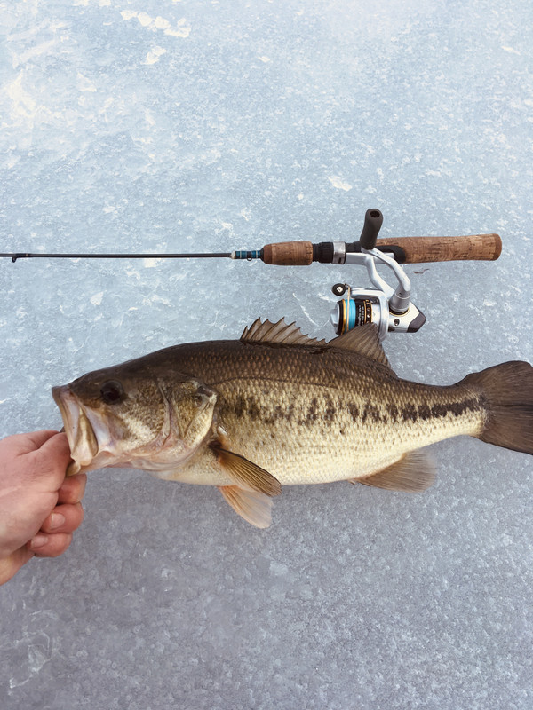 EAE99893-9992-4817-96D8-F925ED2DE873