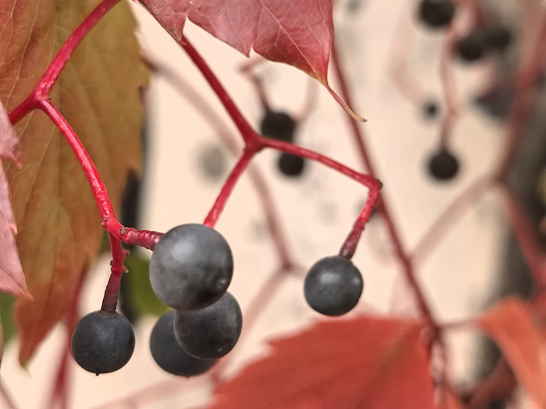 Октябрь уж наступил, 