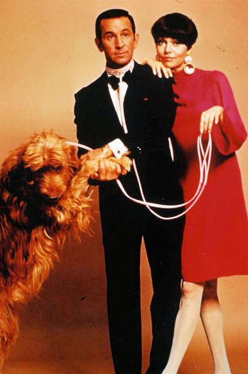 Barbara_Feldon_a69