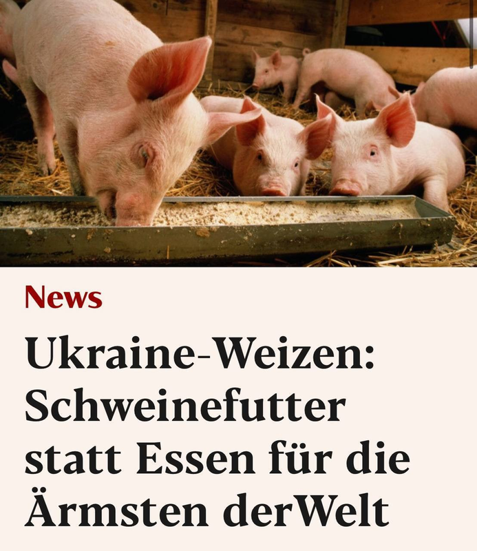 изображение_2023-02-15_143337527