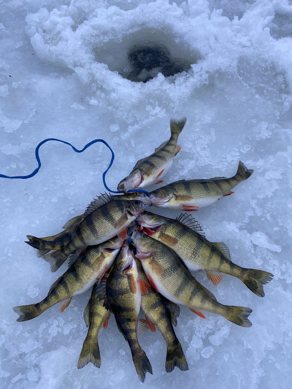 FBEB014A-4917-4781-B9C9-EFB1C0D83CDD