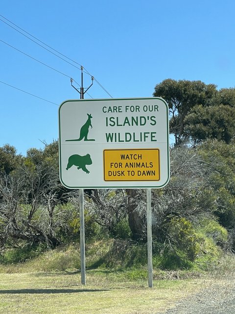 Hasta pronto Kangaroo Island! - El abrazo a Pearl (2)