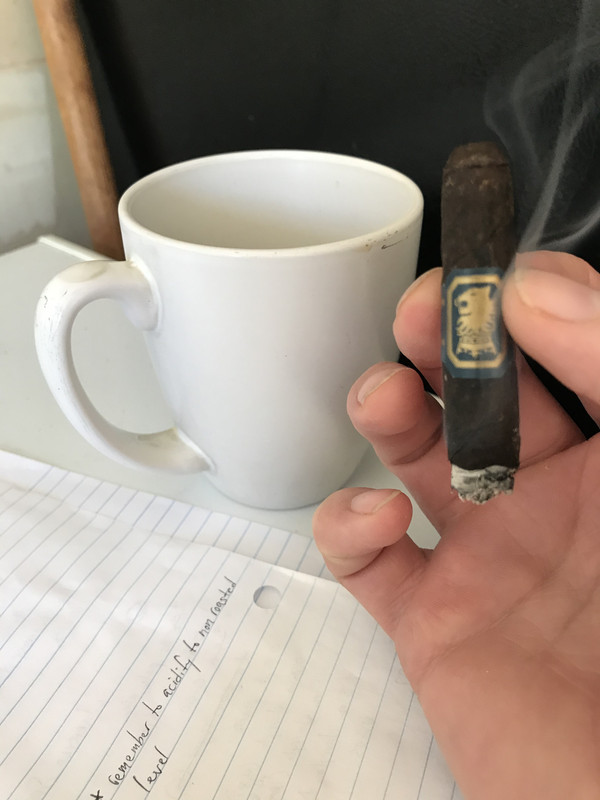 0B0C6166-9985-4DBE-A0F0-1C52C0336464