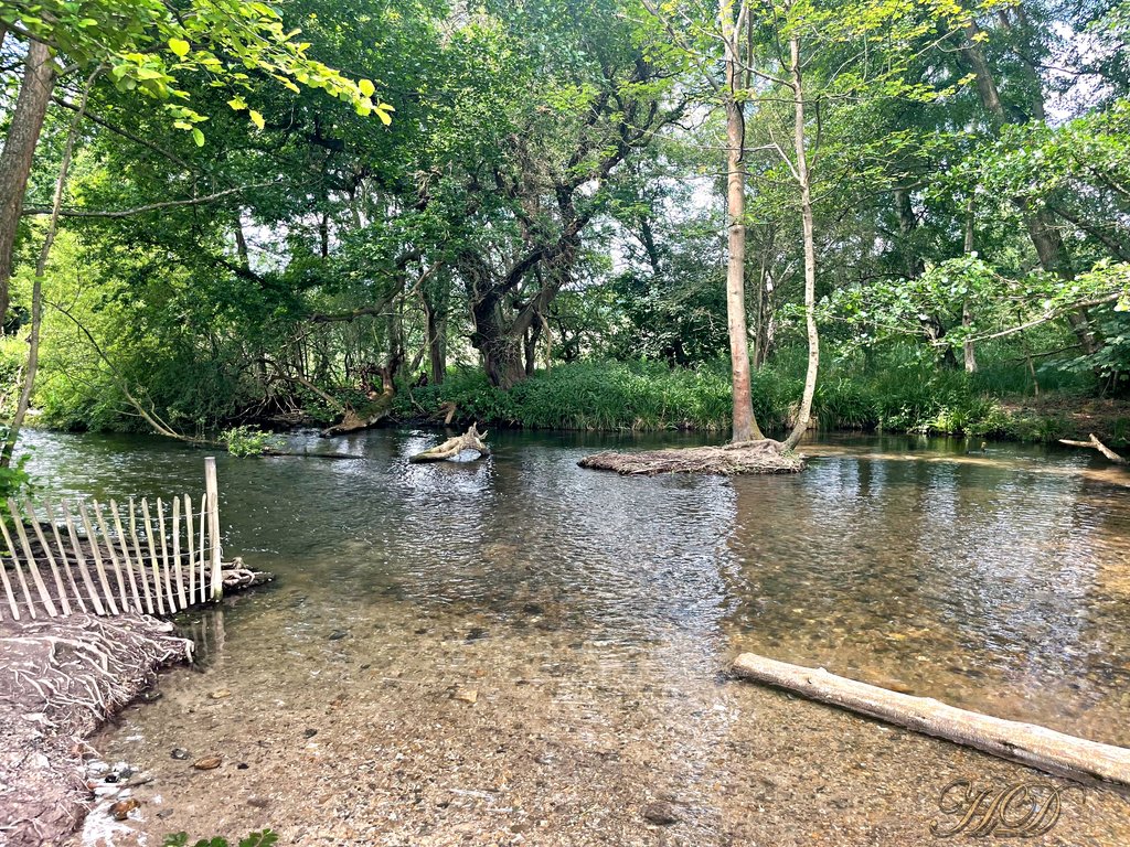 woods-creek-stream-HD.jpg