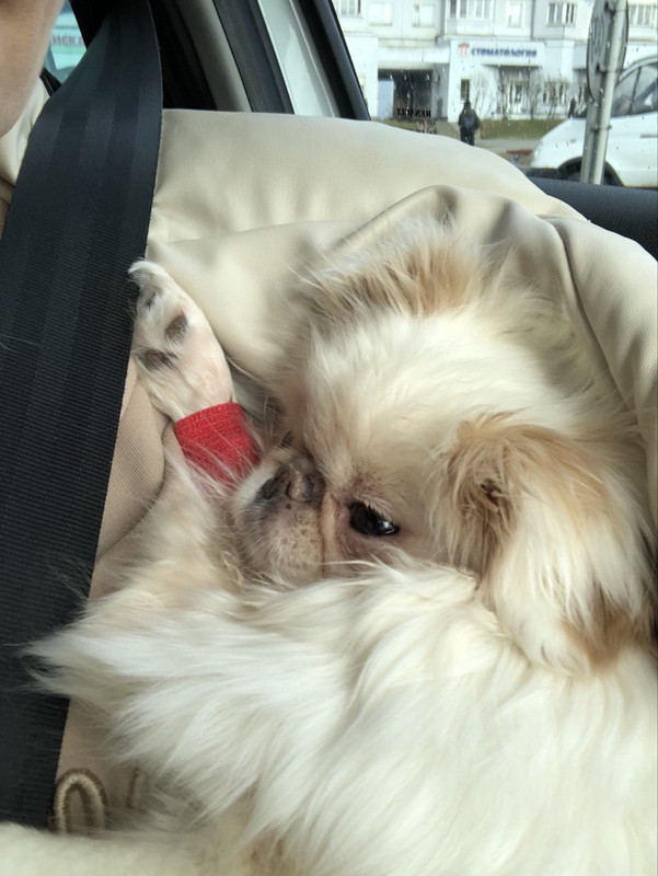 13C72D6B-2F32-4950-96DC-6DA6AD3A73D0