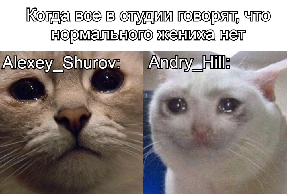 Грустный котик картинки мем - Фотоподборки 1