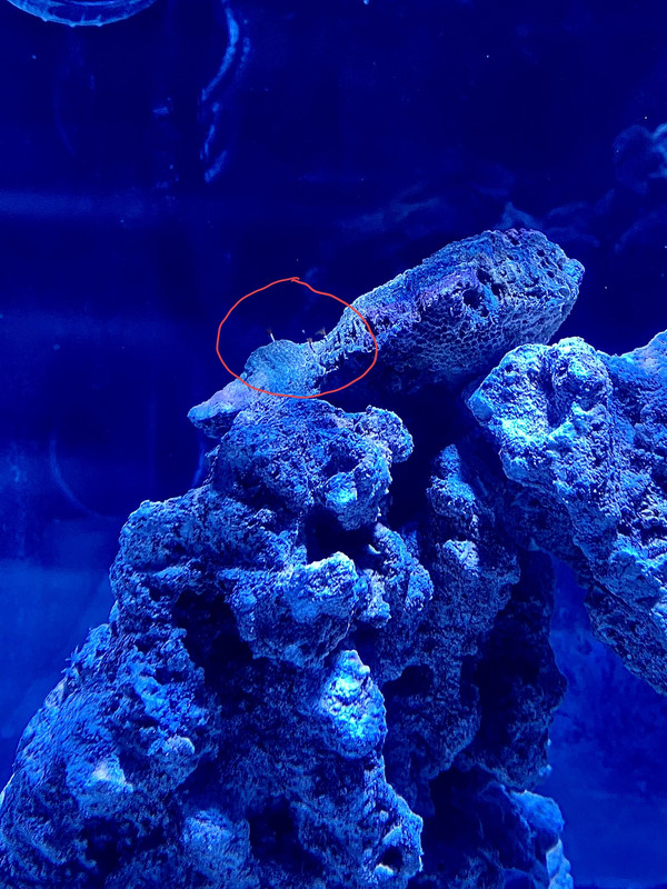 BED59BF4-87A4-4B53-9509-5E6425EA3E86