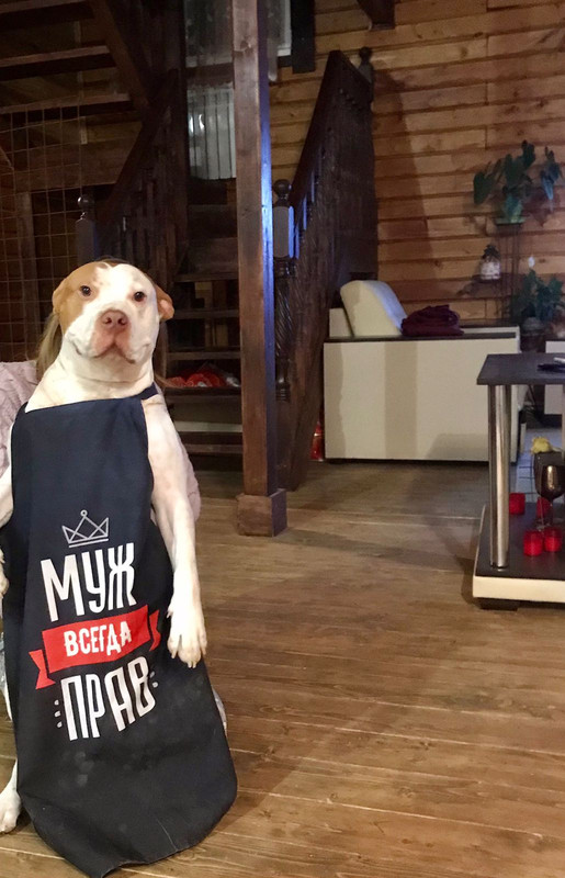 38C7F9E6-D355-4C6F-AE21-C1B6BC1503A1