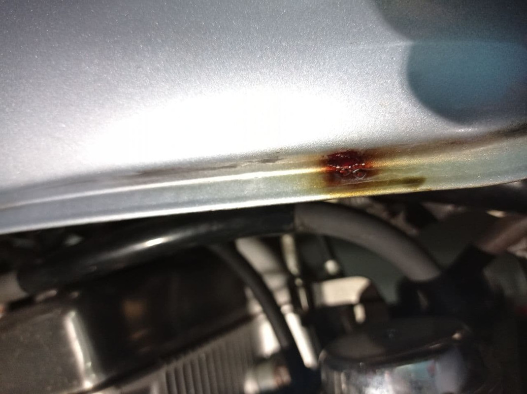 photo_2020-12-05_10-24-50