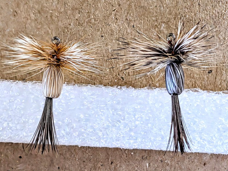 PXL_20250419_195606062~3