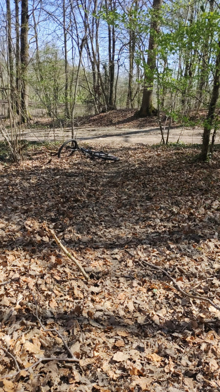 WhatsApp Image 2021-04-02 at 14.18.39 (1)