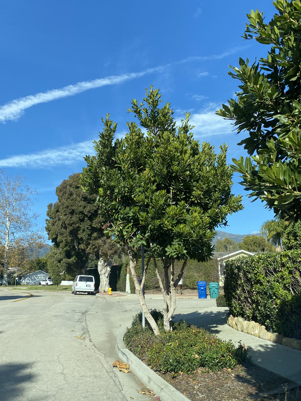 254B9785-41A0-4E65-A97C-4D9586E75147