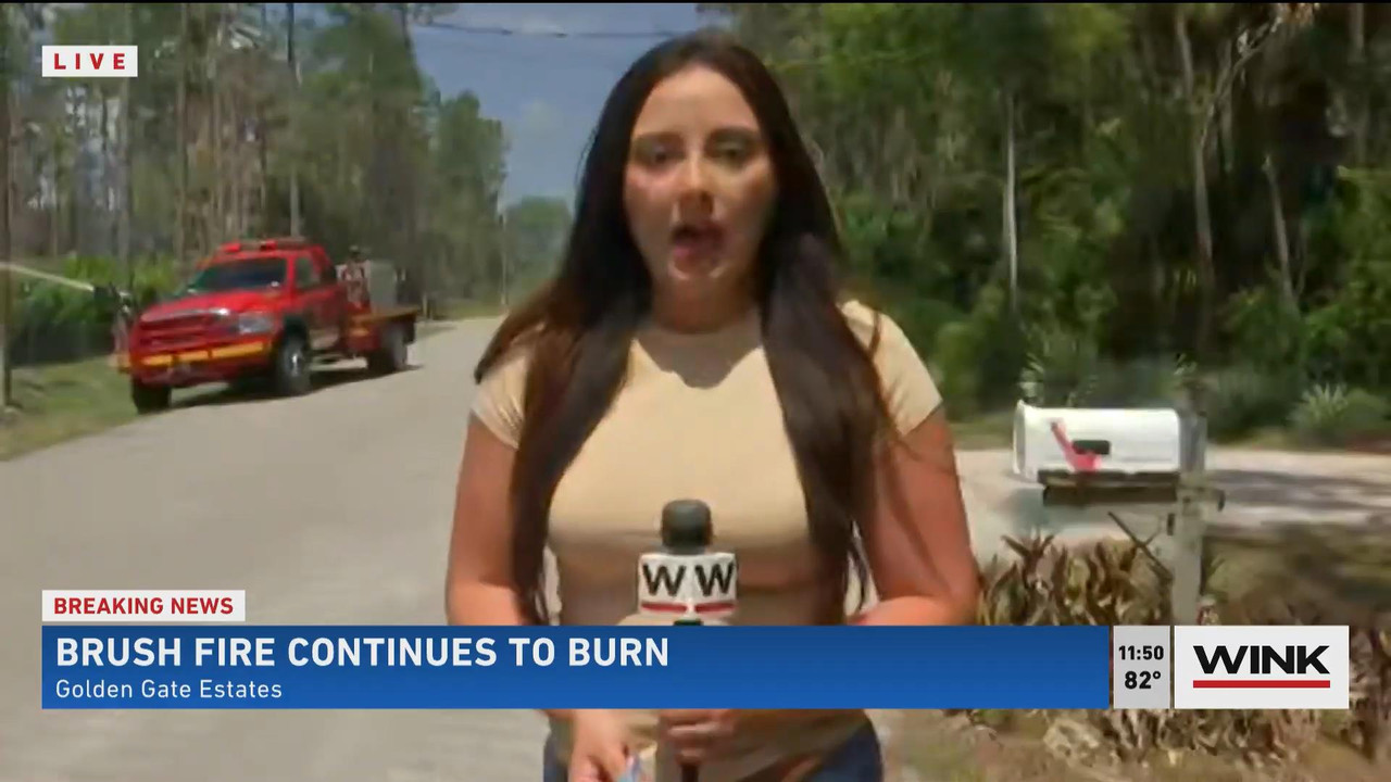 05.23 - 16.30.00 - WINK News @ 11 30AM. Local news, sports and weathe....ts_snapshot_17.46_[2021.05.