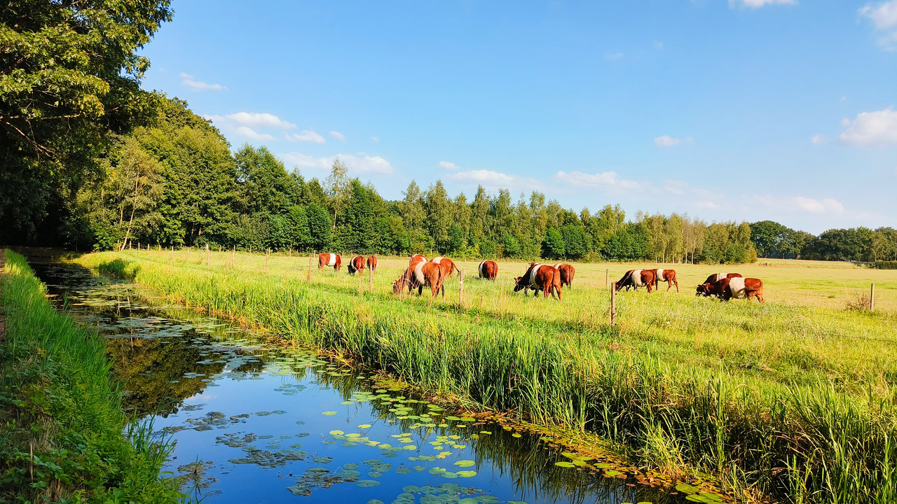 Lumii_20250810_184657400