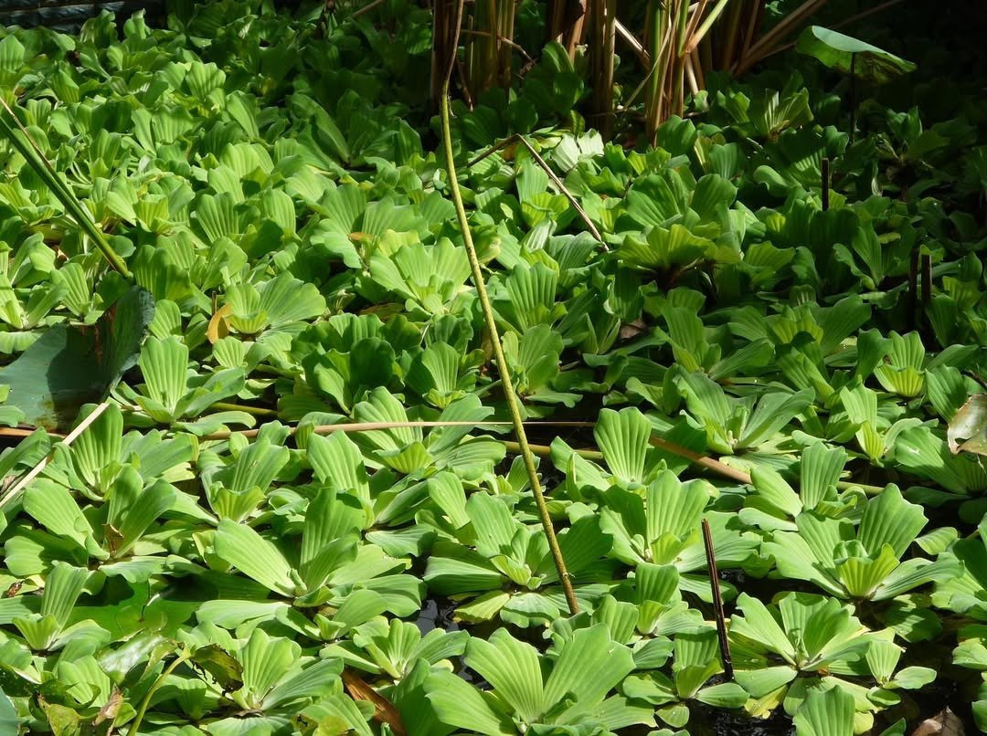 photo 12 2025 12 27 21 06 10