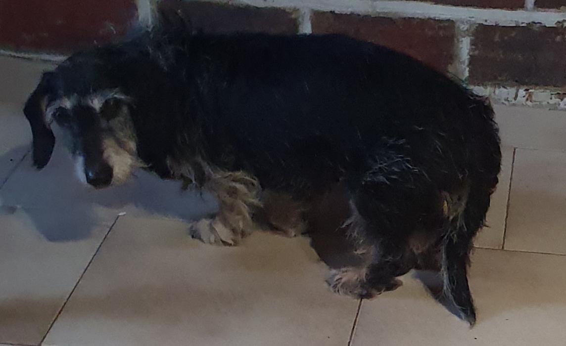 [Image: 20201027-095306.jpg]