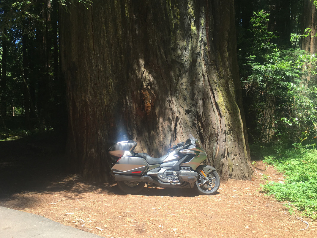 BE389CAE-86CC-497E-AAC0-AFA2E7F8DAC8