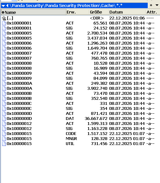 Panda-Dome-21-01-00-Cache-folder.png