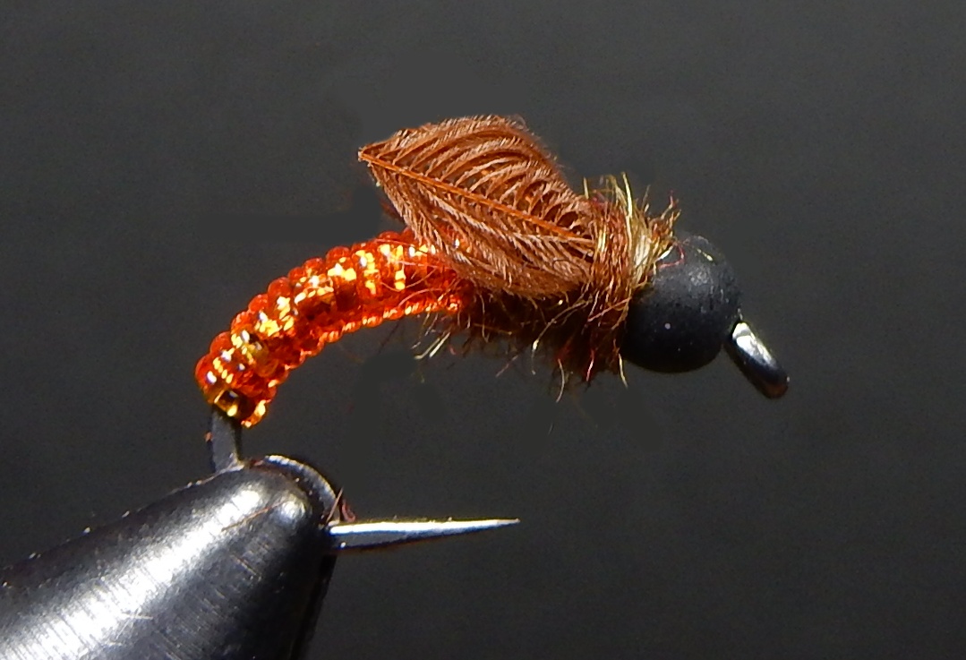 D-Rib-Wally-Wing-Caddis-Pupa-1080.jpg