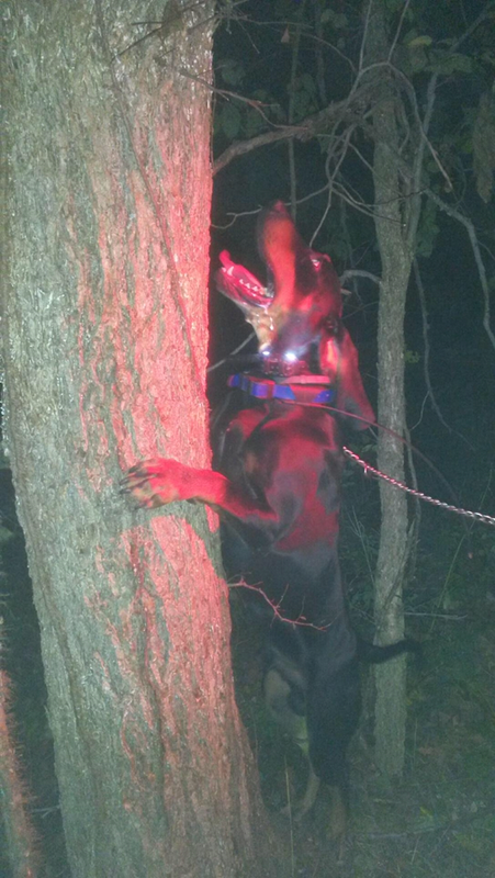 DF4DDB66-09F1-4663-8684-368478E8C661