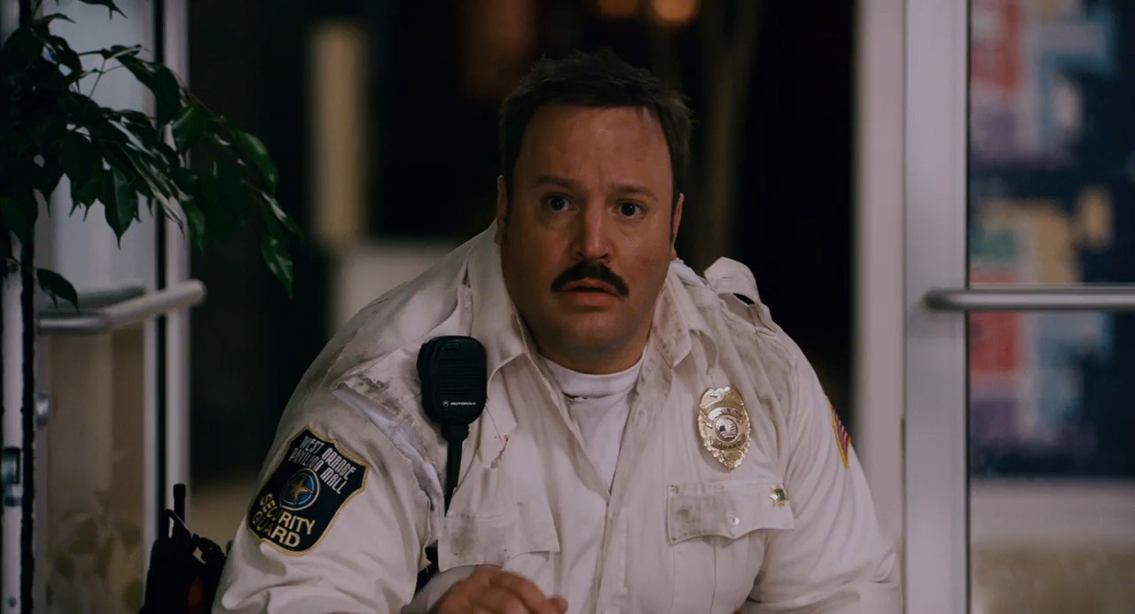 Paul Blart: Mall Cop 2009 BluRay [Hindi + English] 480p 720p ESub Screenshot