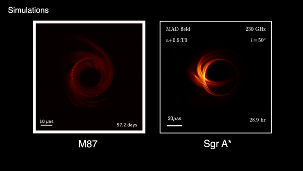 sort-hul-simulation