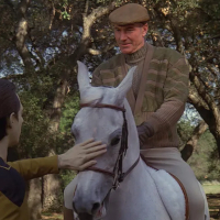 this-equine-day-av.jpg