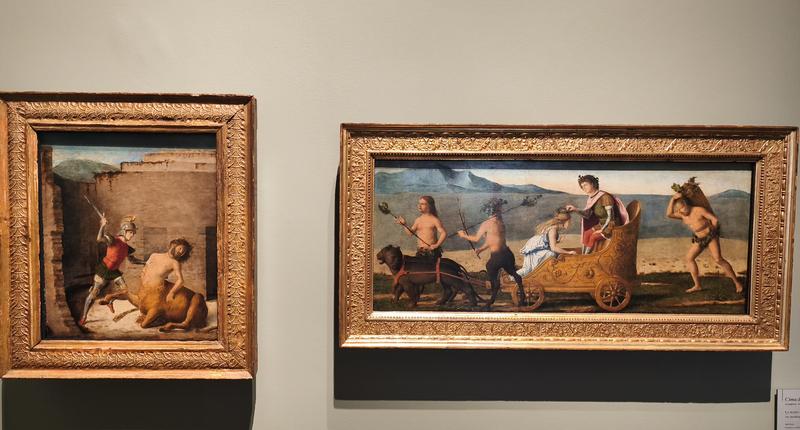 Milán-Turín-Génova-Pavía - Blogs de Italia - Pavía: la famosa batalla y sus torres medievales (216)