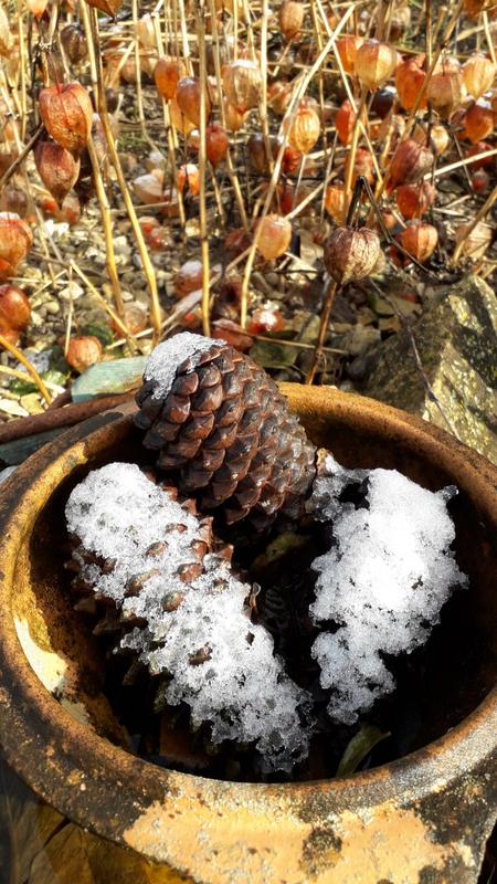 USER_SCOPED_TEMP_DATA_MSGR_PHOTO_FOR_UPLOAD_1548930862793.jpg_15