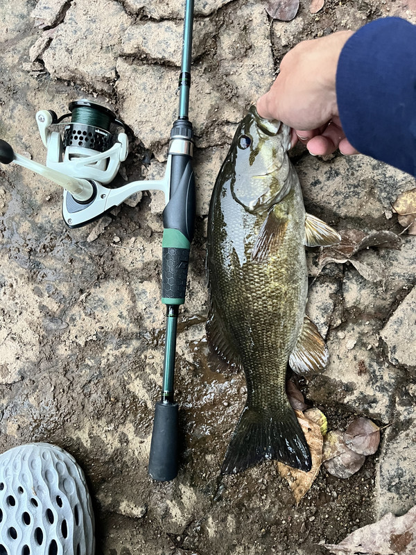 A357203E-F3FC-4A5C-BD12-B6580D804C6A