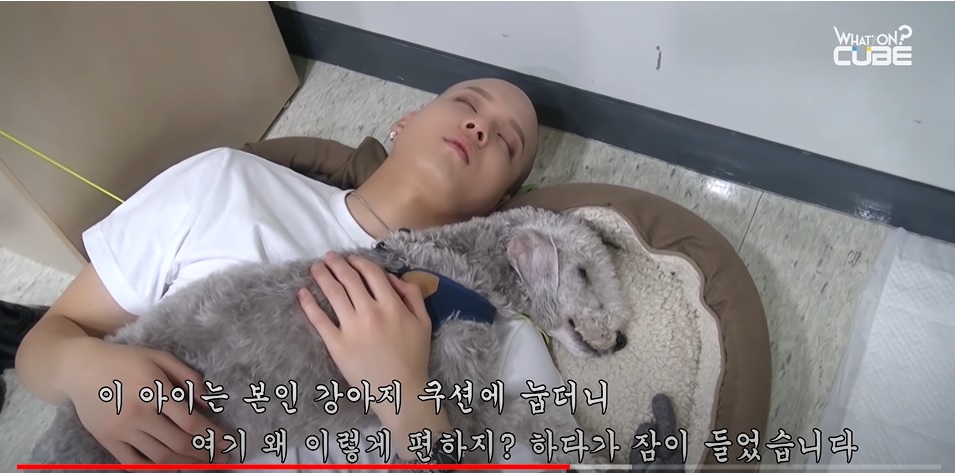 Peniel and Penny sleeping