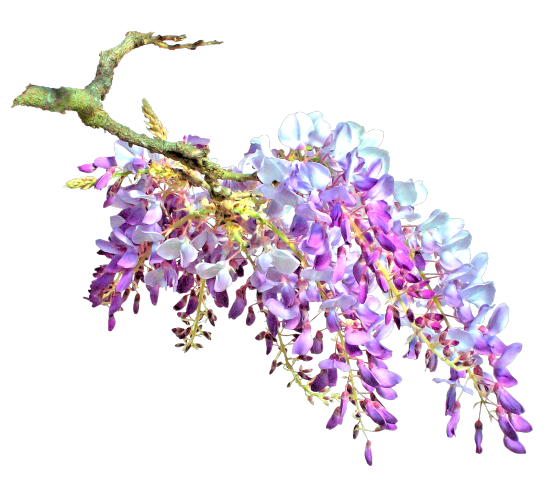 Magic Fairy Garden (69)