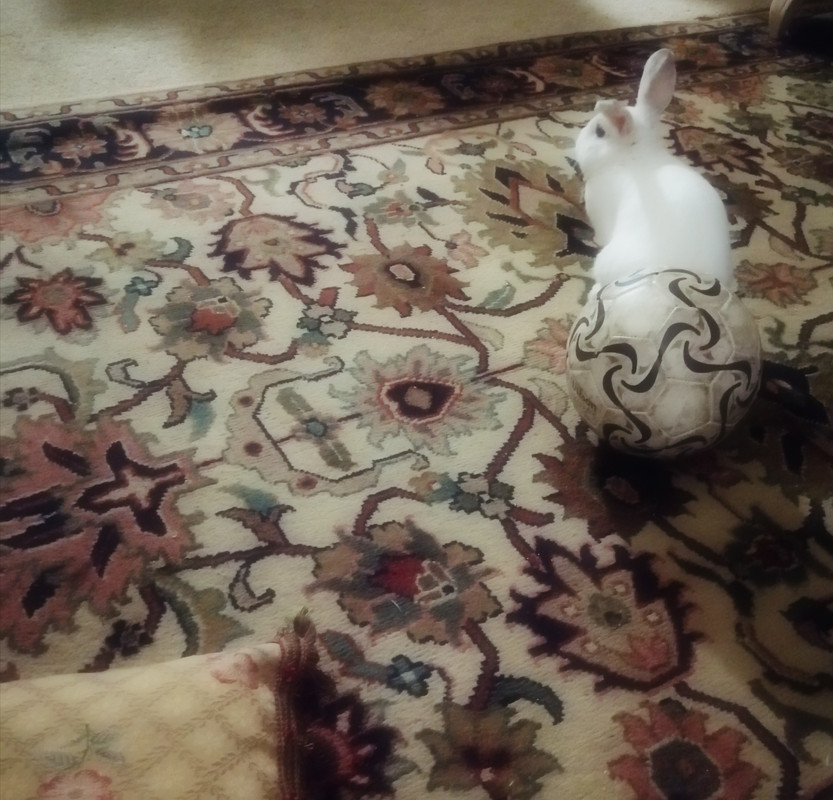 IMG_٢٠٢١٠٥٢٤_٠٣٤٦٥٦