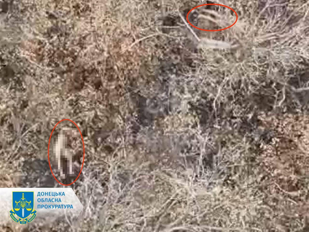 IMG_20241120_175000_684