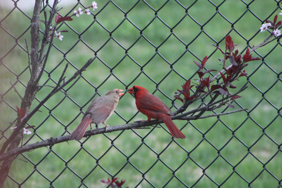 20200526185301_IMG_0471