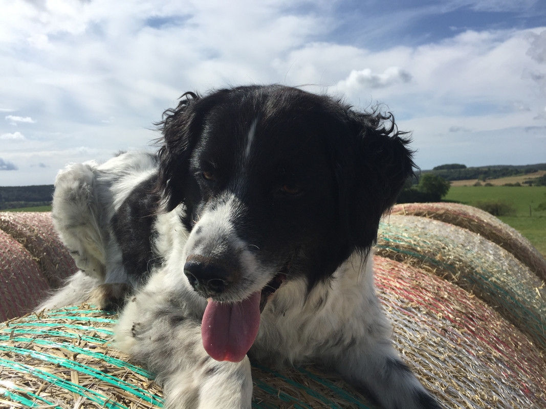 6F72DA81-2CE8-40FB-BD9B-0E322ADFF7F8