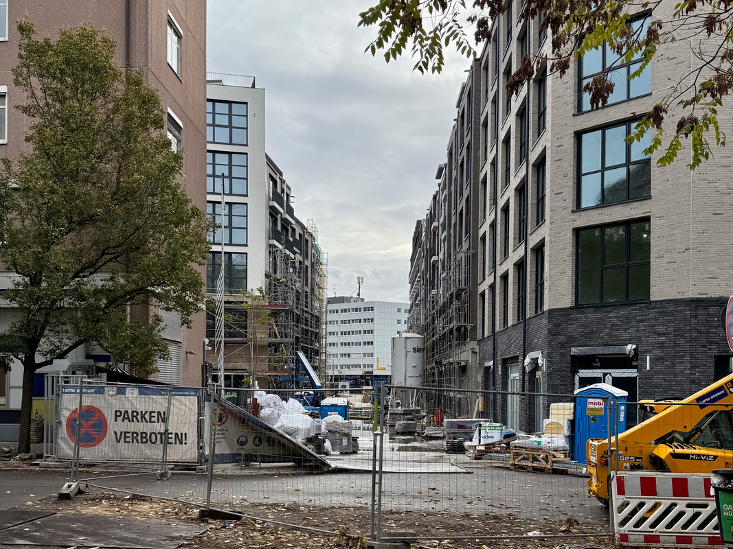 Main-Yard02112025-5.jpg