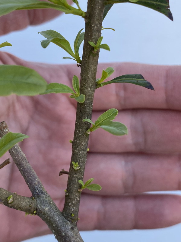 451D2B40-399D-4FAF-8B61-A5EE03093F91