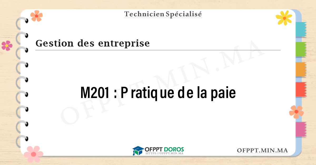 Sommaire détaillé du cours Pratique de la paie M201 OFPPT - Structure du module