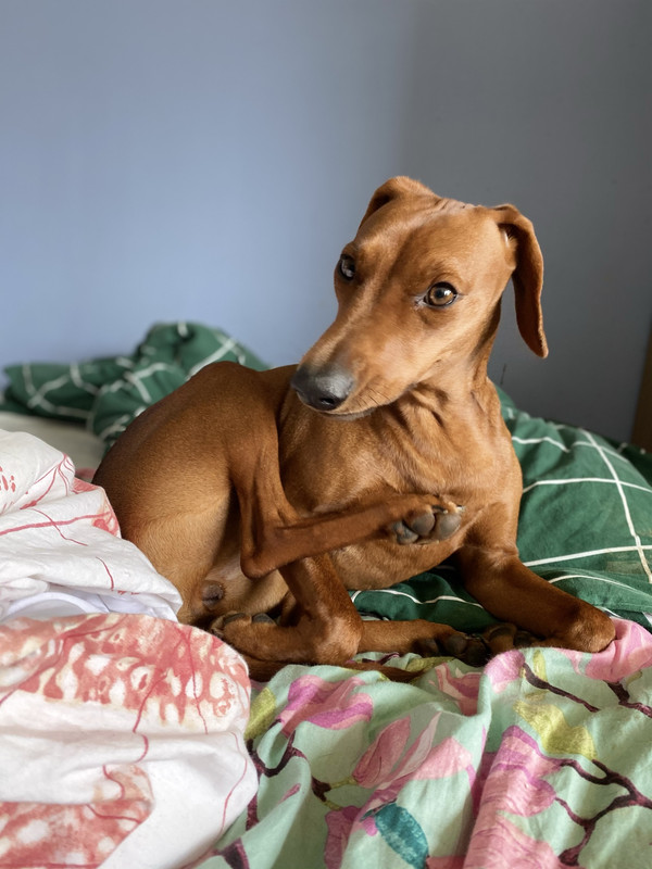 476EBDA9-3791-449B-BDFC-4B57364136C9