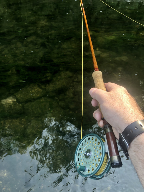 1A488149-6E9B-4E15-B242-CAE6EDDD9B82