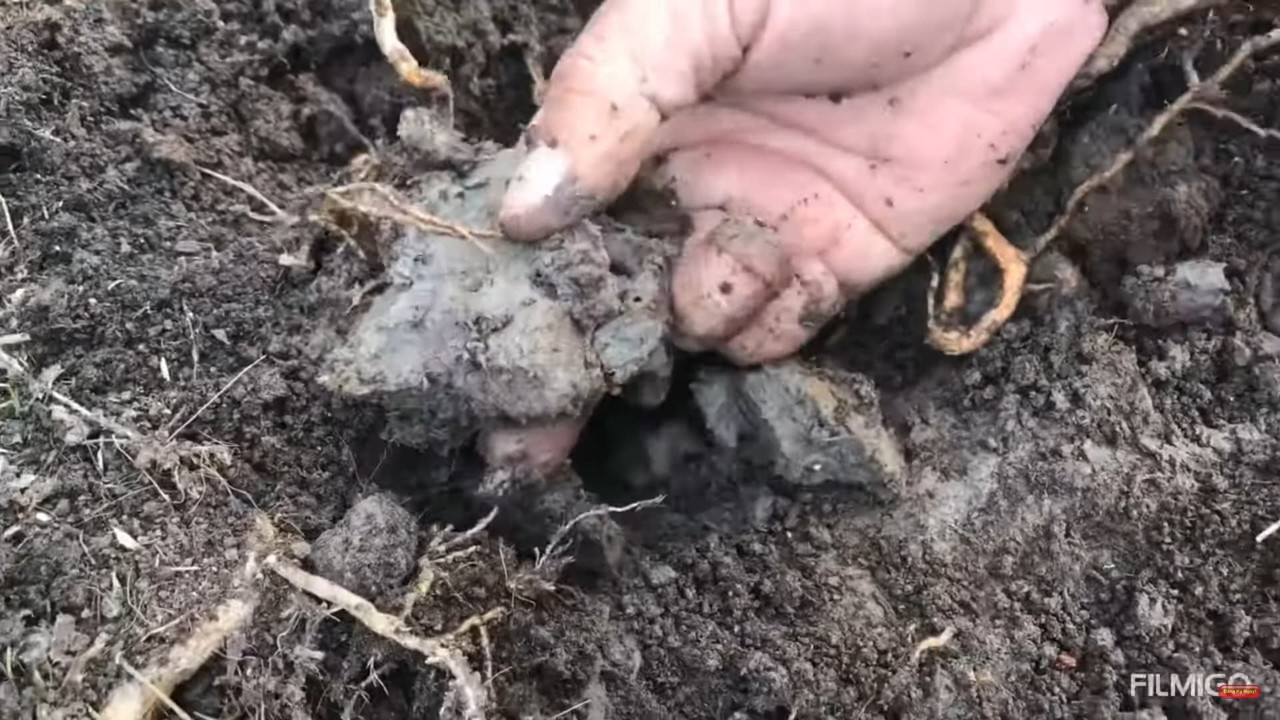 clayey-hardened-soil.jpg