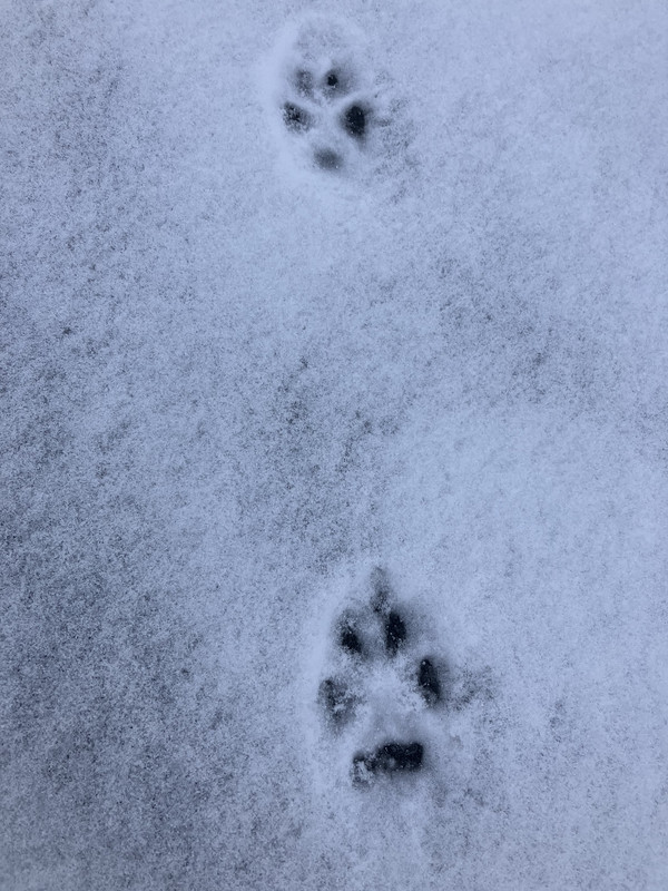 53A8EE5C-FD01-49C7-86F5-144A823A44DC