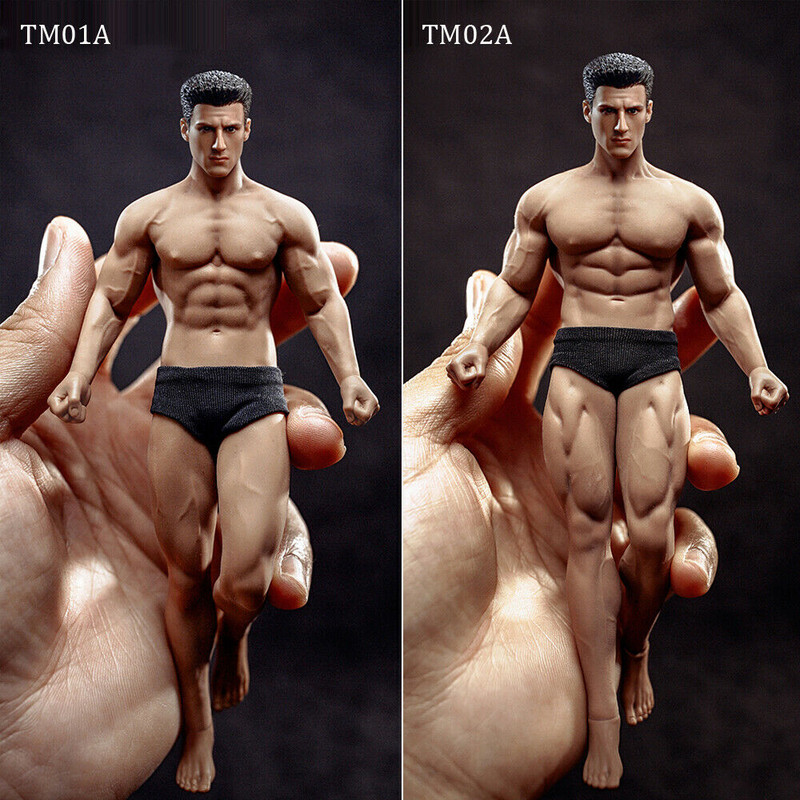 Phicen Male Figures