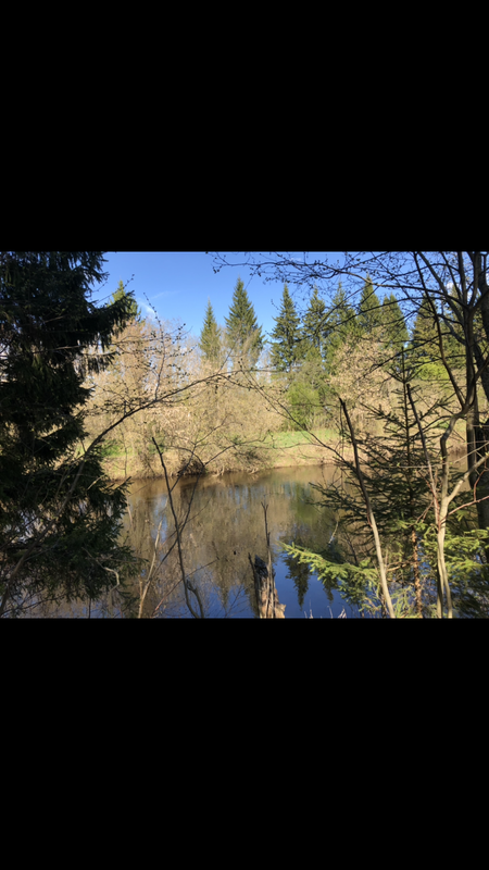 AB456EE5-1E1F-48C2-BEA5-090C244979F2